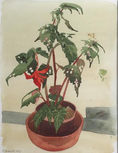 POTTED PLANT by Ruth Brandt sold for €110 at deVeres Auctions